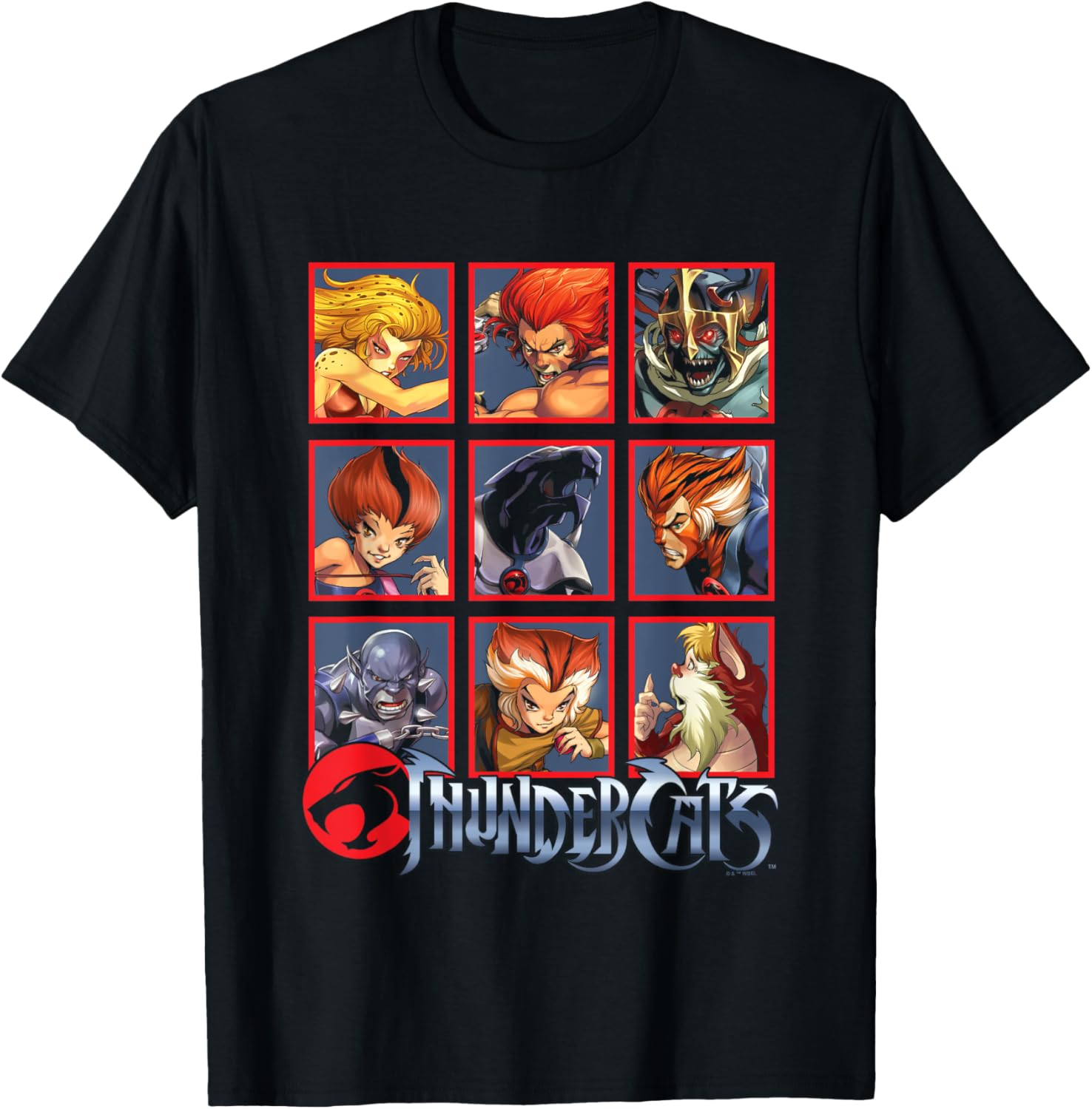 ThunderCats Bring The Thunder Vintage Box Up